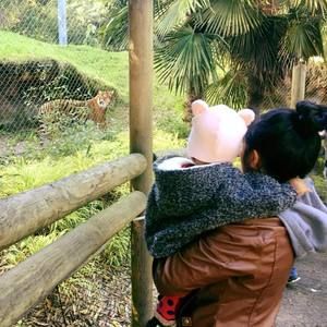 Meet your Posher, Jeanine